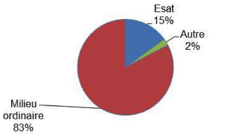 Graphique de répartition des accords d'orientation vers le milieu professionnel sur un échantillon de 80 MDPH